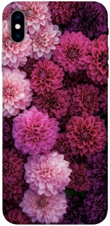 Чехол на Apple iPhone XS Max (6.5") Garden1 фото 1 из 1