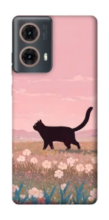 Чохол на Motorola Moto G85 cat on a field фото 1 з 1