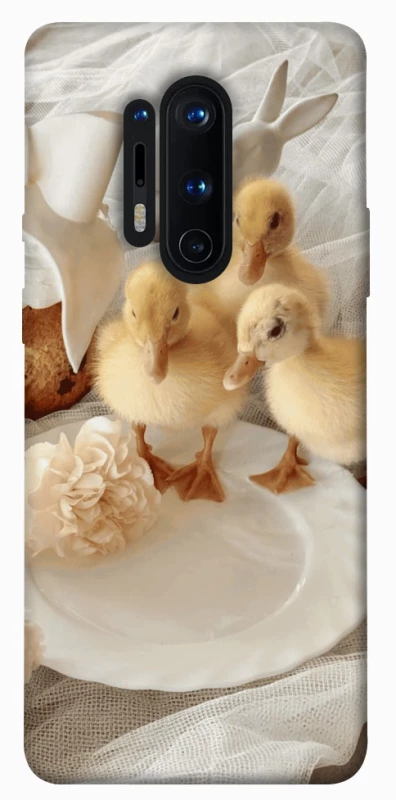 Чохол на OnePlus 8 Pro Easter Vibes фото 1 з 1