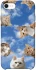 Чехол на Apple iPhone SE (2020) Сats фото 1 из 1