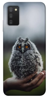 Чохол на Samsung Galaxy A03s Совеня фото 1 з 1