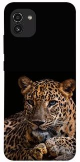 Чехол на Samsung Galaxy A03 Leopard v4 фото 1 из 1