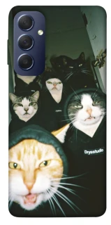 Чохол на Samsung Galaxy M54 5G Сatsss фото 1 з 1