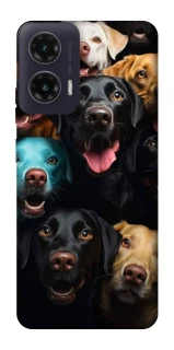 Чехол на Motorola Moto G35 Собаки фото 1 из 1