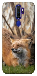 Чехол на Oppo A5 (2020) / Oppo A9 (2020) Лиса фото 1 из 1