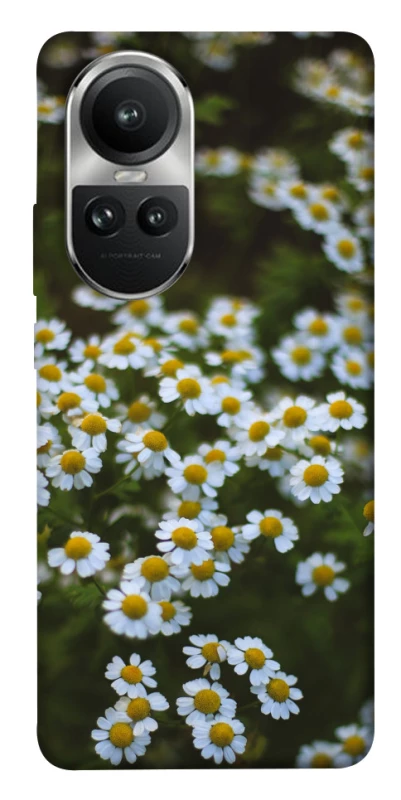 Чехол на Oppo Reno 10 Ромашки v13 фото 1 из 1