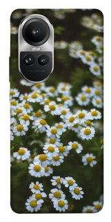 Чехол на Oppo Reno 10 Ромашки v13 фото 1 из 1