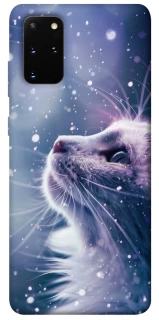 Чехол на Samsung Galaxy S20+ Snow cat фото 1 из 1
