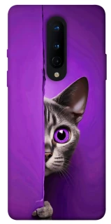 Чохол на OnePlus 8 Кіт-підглядач фото 1 з 1