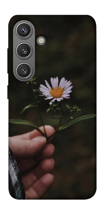 Чохол на Samsung Galaxy S24 Ромашка v4 фото 1 з 1