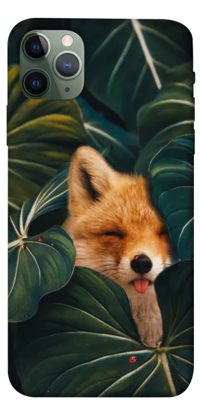 Чохол на Apple iPhone 11 Pro Max (6.5") Fox фото 1 з 1