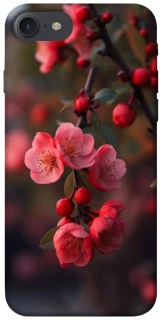 Чехол на Apple iPhone 7 / 8 (4.7") Flowers v28 фото 1 из 1