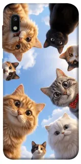 Чехол на Samsung Galaxy A10 (A105F) Cats фото 1 из 1