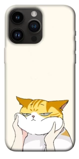 Чохол на Apple iPhone 14 Pro Max (6.7") Cat bun фото 1 з 1