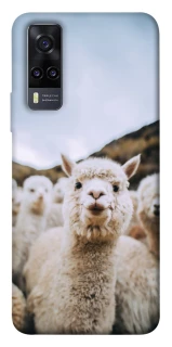 Чохол на Vivo Y31 Лама фото 1 з 1
