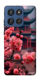 Чохол на Motorola Edge 60 Stylus Flowers v29 фото 1 з 1