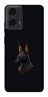 Чохол на Motorola Moto G24 Anubis фото 1 з 1
