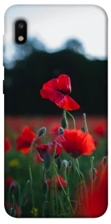 Чехол на Samsung Galaxy A10 (A105F) Мак фото 1 из 1