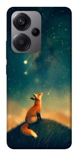 Чехол на Xiaomi Redmi Note 13 Pro+ Sky fox фото 1 из 1