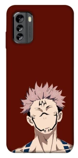 Чехол на Nokia G60 Sakuna v3 фото 1 из 1