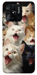 Чохол на Xiaomi Redmi 10C Коти фото 1 з 1