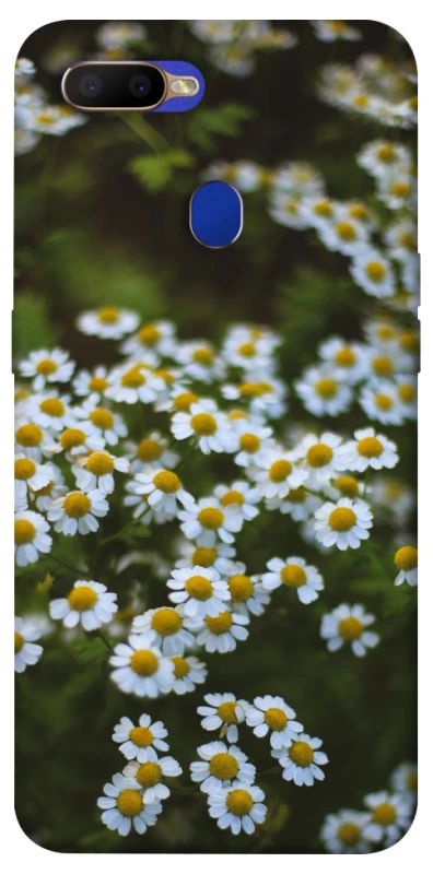 Чехол на Oppo A5s Ромашки v13 фото 1 из 1