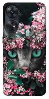 Чохол на Oppo Reno 8T 4G Кіт в квітах фото 1 з 1