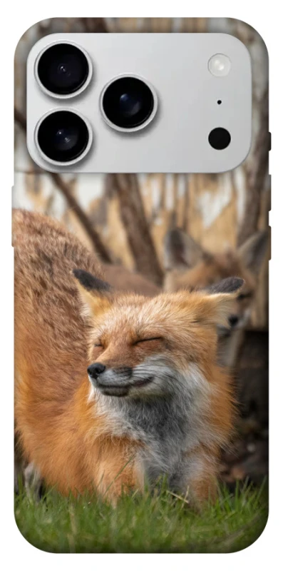 Чехол на Apple iPhone 17 Pro Max (6.9") Лиса фото 1 из 1