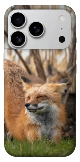 Чехол на Apple iPhone 17 Pro Max (6.9") Лиса фото 1 из 1