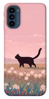 Чехол на Motorola Moto G41 cat on a field фото 1 из 1