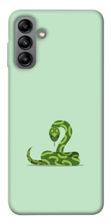 Чохол на Samsung Galaxy A04s Змійка фото 1 з 1