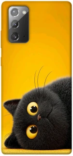 Чохол на Samsung Galaxy Note 20 This is Cat фото 1 з 1