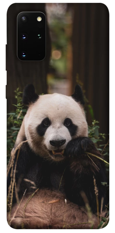 Чохол на Samsung Galaxy S20+ Панда фото 1 з 1