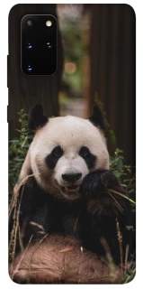 Чохол на Samsung Galaxy S20+ Панда фото 1 з 1