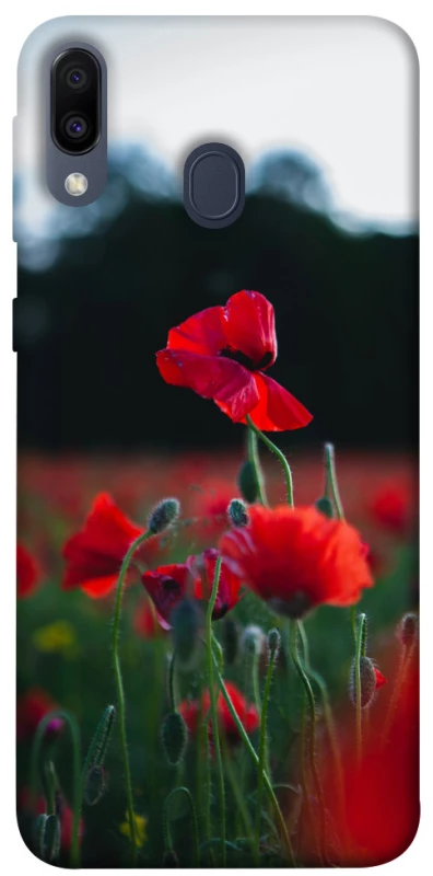 Чехол на Samsung Galaxy M20 Мак фото 1 из 1