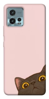Чехол на Motorola Moto G72 Peeping cat фото 1 Чехол на Motorola Moto G72 Peeping cat фото 1 из 1