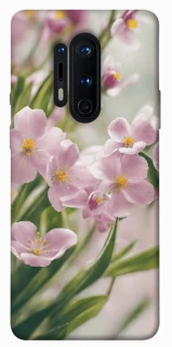 Чехол на OnePlus 8 Pro Spring фото 1 из 1