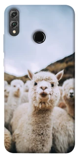 Чехол на Huawei Honor 8X Лама фото 1 из 1