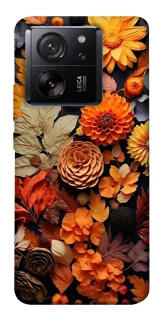 Чохол на Xiaomi 13T Dreams фото 1 з 1