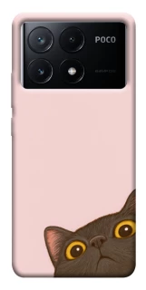 Чехол на Xiaomi Poco X6 Peeping cat фото 1 из 1