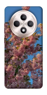 Чехол на Oppo Reno 12 F 4G/5G Flowers v4 фото 1 из 1
