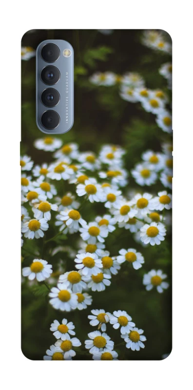 Чехол на Oppo Reno 4 Pro Ромашки v13 фото 1 из 1