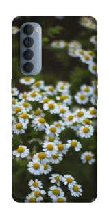 Чехол на Oppo Reno 4 Pro Ромашки v13 фото 1 из 1