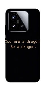 Чехол на Xiaomi 15 House of the Dragon ver.9 фото 1 из 1