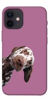 Чохол на Apple iPhone 12 mini (5.4") А що тут фото 1 з 1