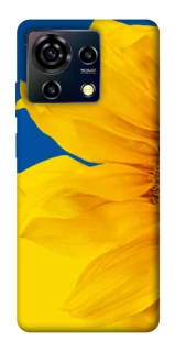 Чехол на ZTE Blade V50 Vita Sunflower фото 1 из 1