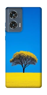 Чохол на Motorola Edge 50 Field v2 фото 1 з 1