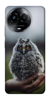 Чохол на Realme C67 4G Совеня фото 1 з 1