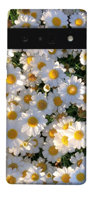 Чохол на Google Pixel 6 Pro Поле ромашок фото 1 з 1