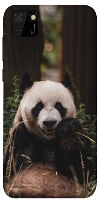 Чехол на Huawei Y5p Панда фото 1 из 1